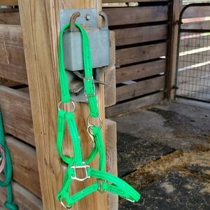 Vibrant Green Pony Halter and Lead Rope